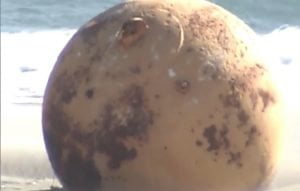 Mysterious sphere discovered on Japanese beach