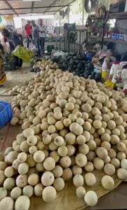 Progressive Farmer From Surat Leaves Engineering Studies To Cultivate With Modern Technology