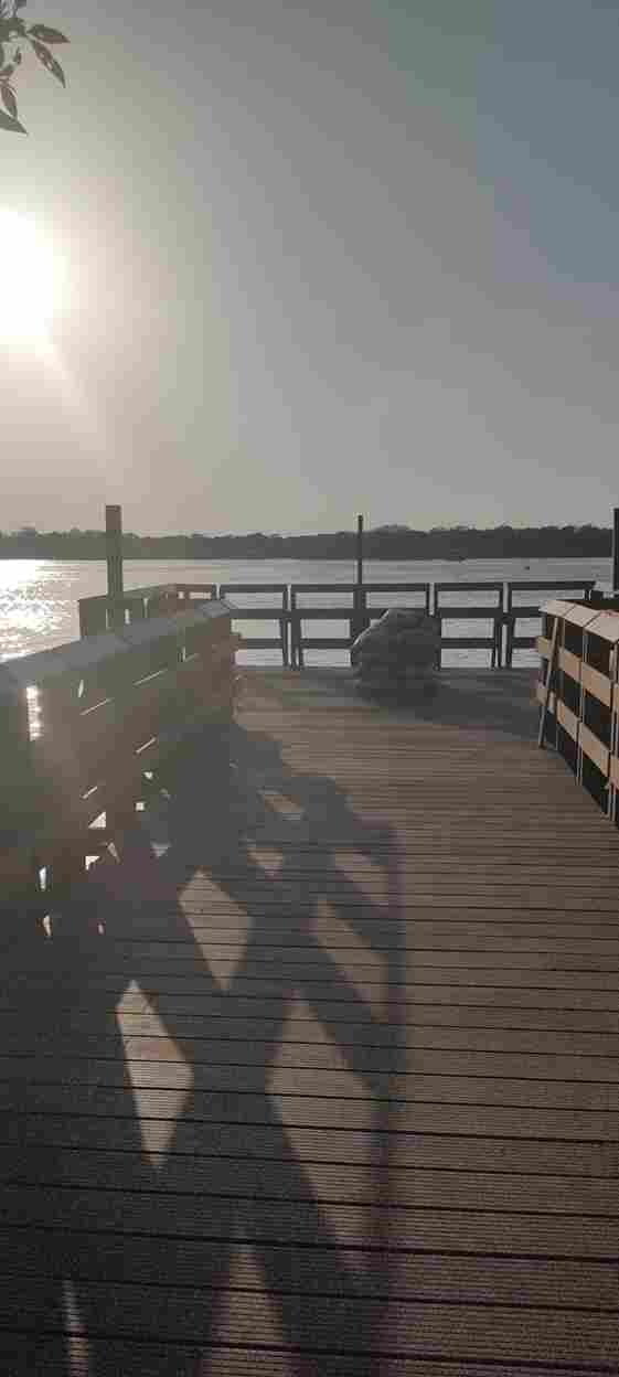 Gorai mangrove park coming up fast 