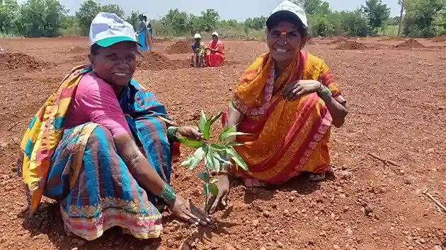 Reliance Foundation launches ‘Plant4Life’ initiative for a greener tomorrow
